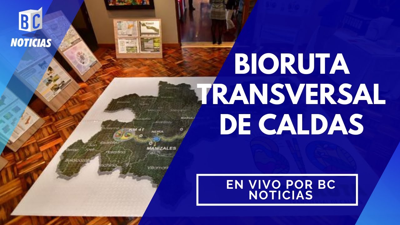Proyecto 