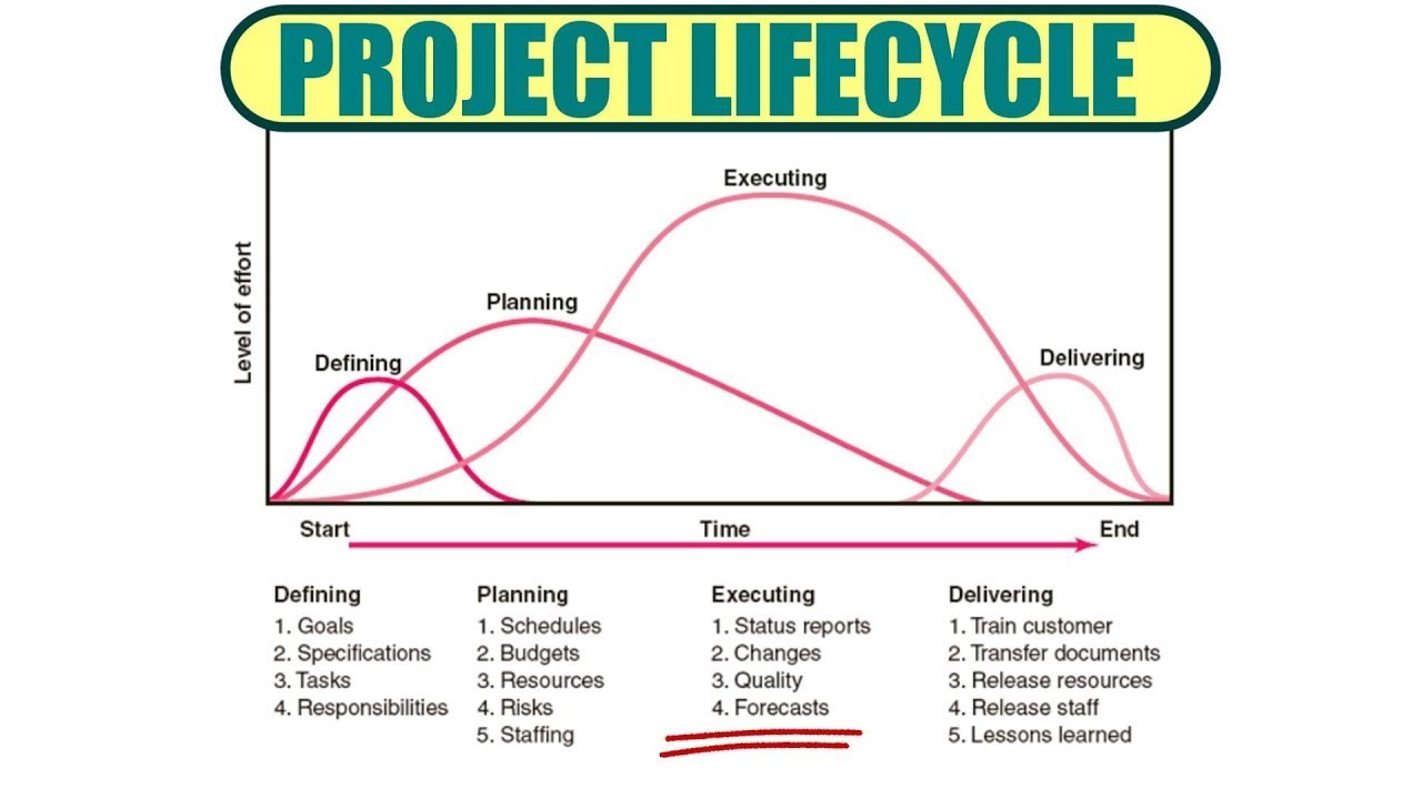 Project Lifecycle: Stages, Inputs and Outputs