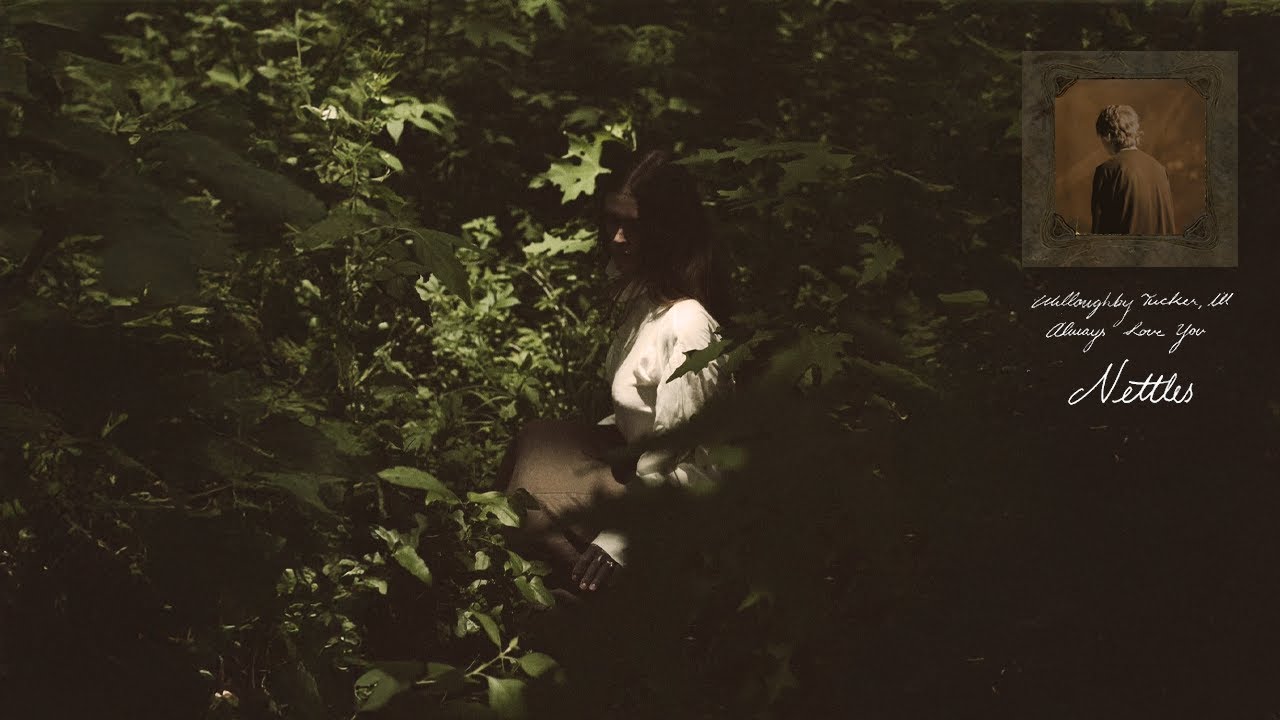 Nettles (heavenly version) - Ethel Cain