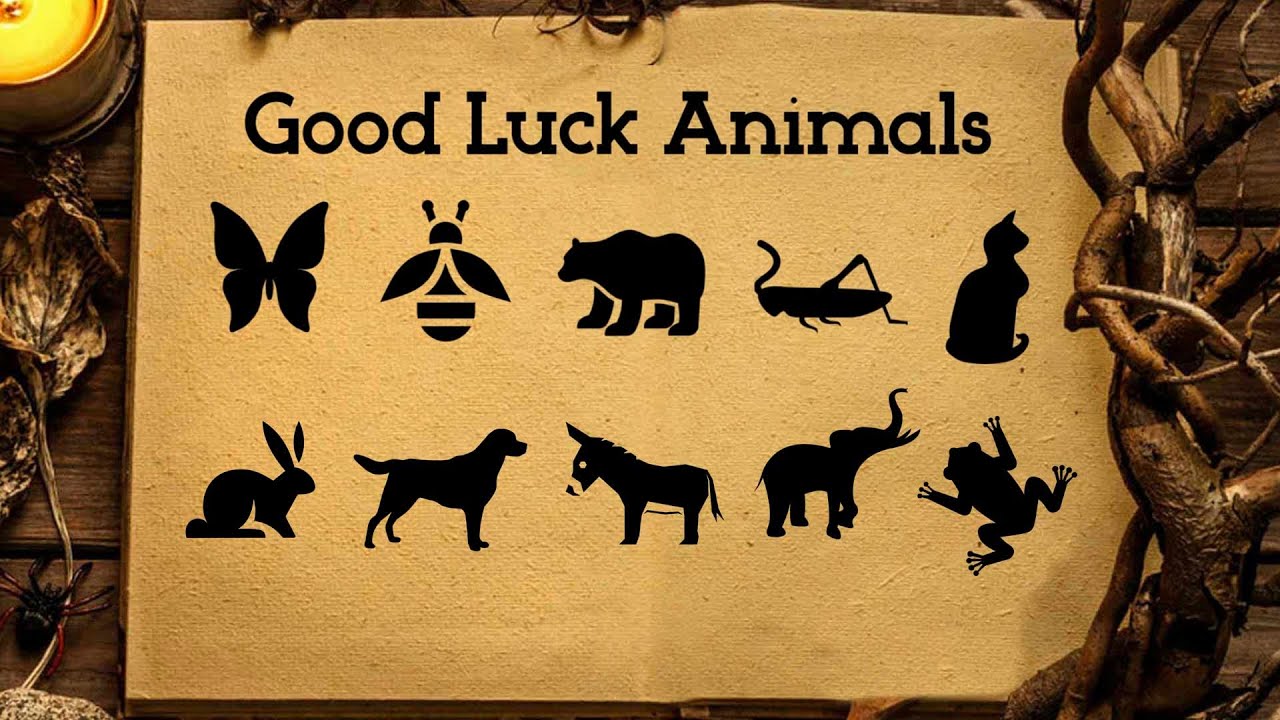 🐻 TOP 10 Good Luck Animals: Positive Symbols of Abundance & Success (Spiritual Meanings & Symbolism)