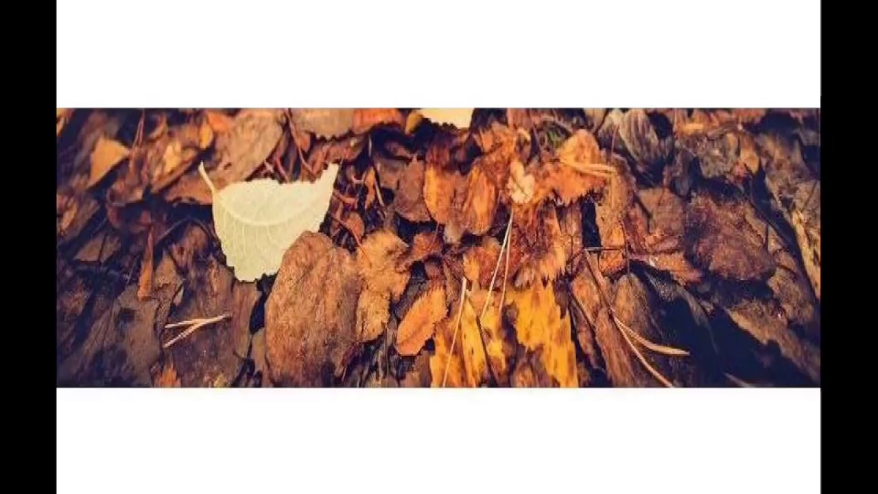 Cornelius Cardew - Autumn 60