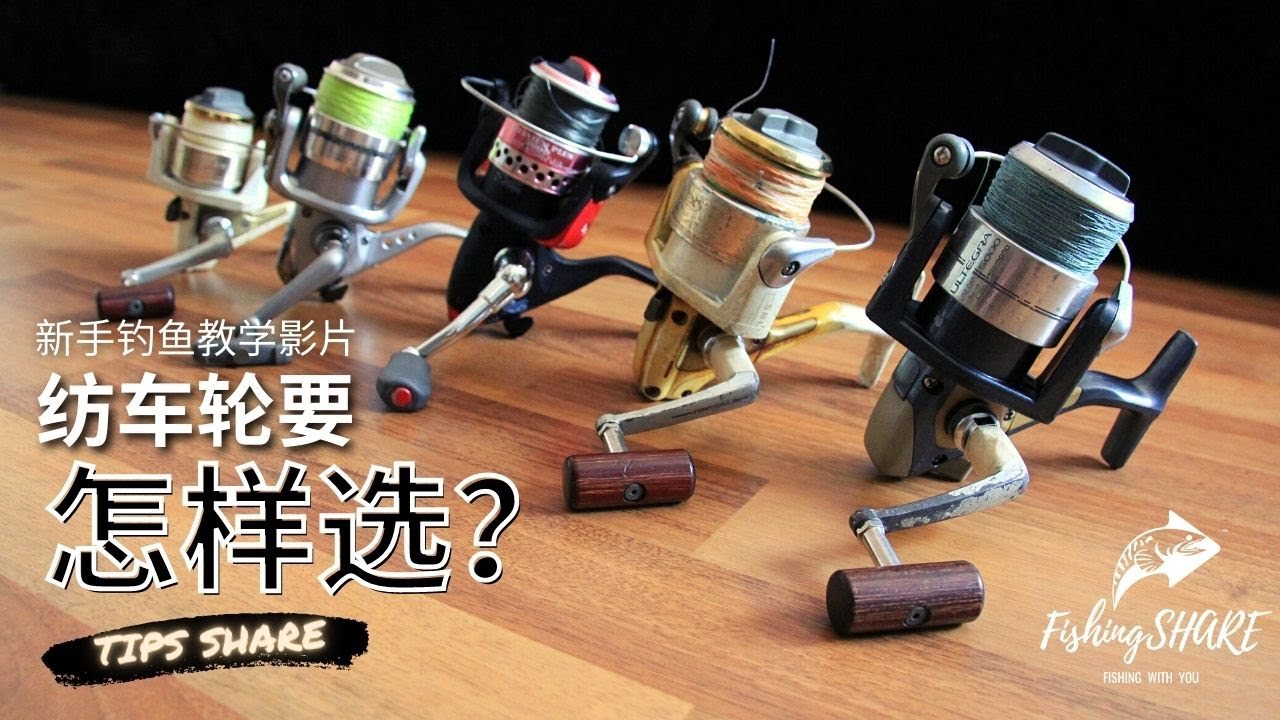 【FishingShare】纺车轮要怎么选？（新手钓鱼教学影片）| HOW TO CHOOSE A SPINNING REEL?（FISHING VIDEOS FOR BEGINNERS）