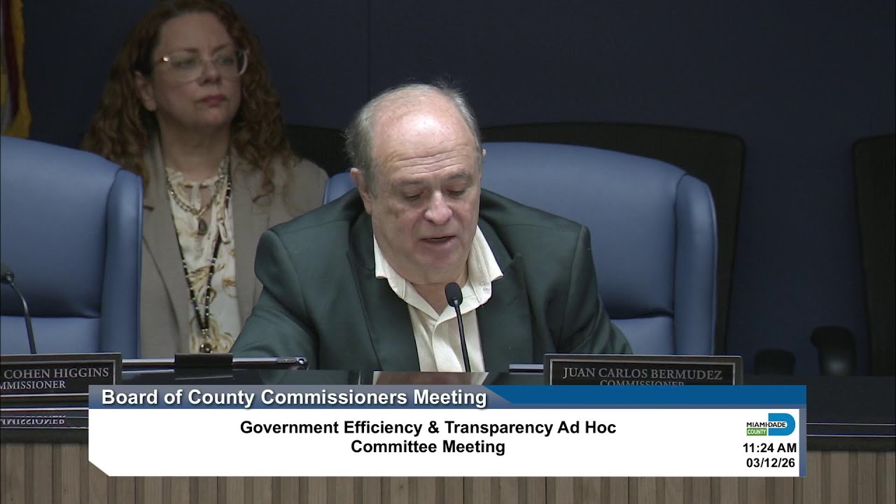 03.12.2026 - Government Efficiency & Transparency Ad Hoc Committee