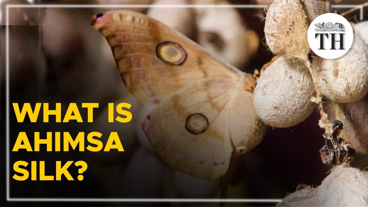 What is 'ahimsa silk' and how is it made?