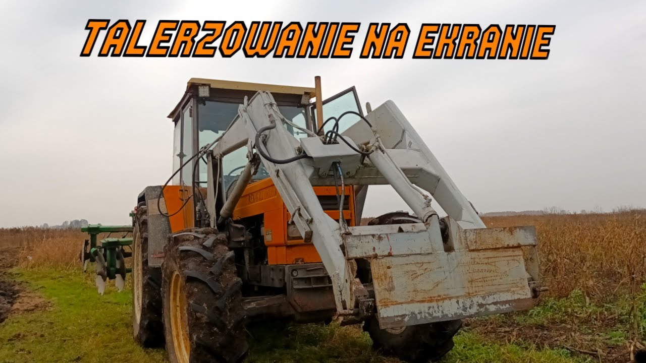 TALERZUJEMY PO ORCE RENATA NA EKRANIE