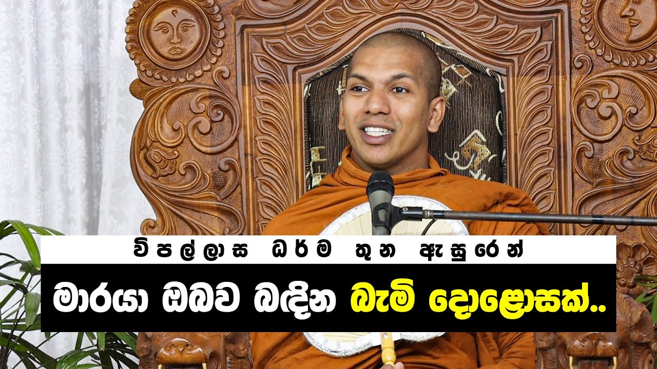 සඤ්ඤා, චිත්ත සහ දිට්ඨි විපල්ලාස ධර්ම | Ven.Kirulapana Dhammawijaya Thero