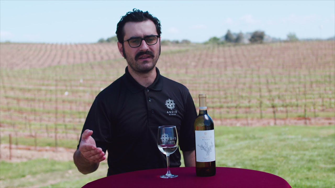 Semillon Virtual Tasting Notes