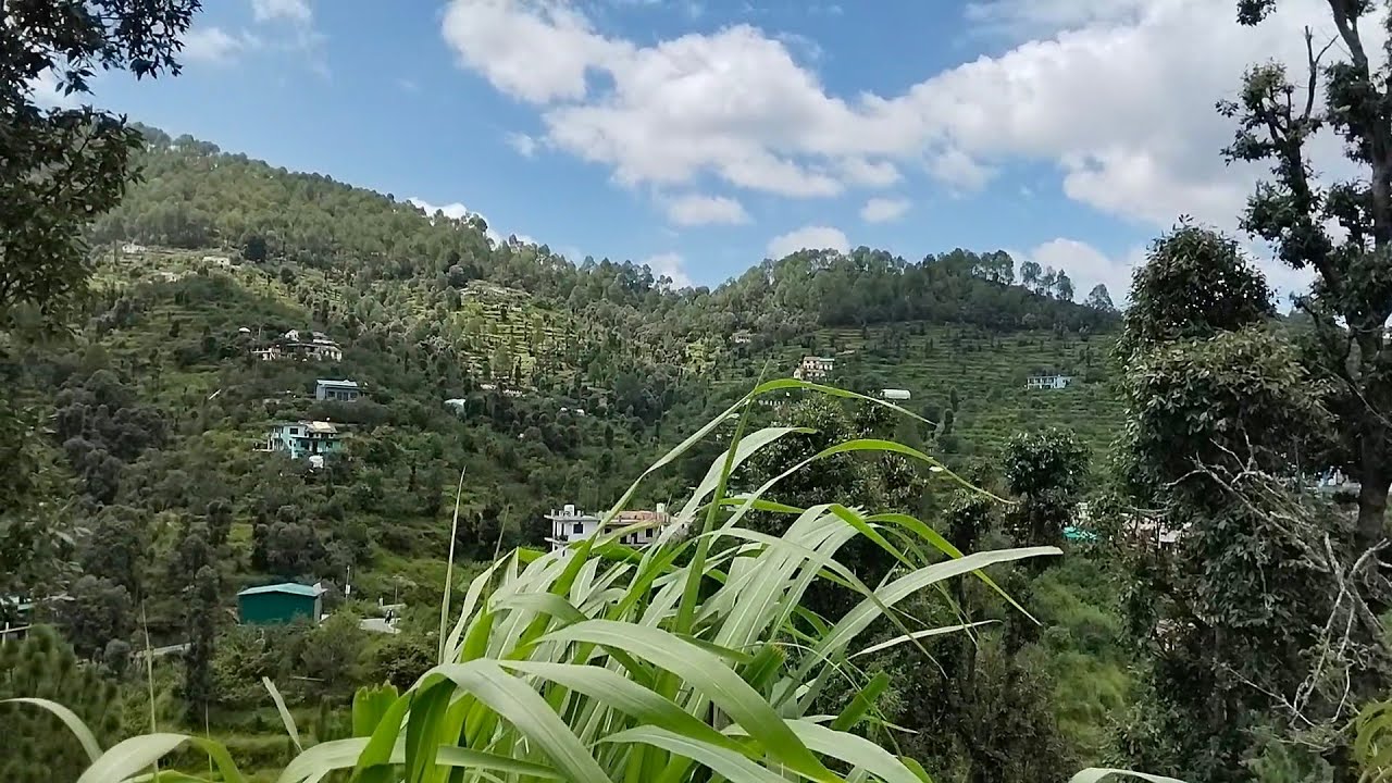4 nali land available Mukteshwar prime location nathuwakhan || himalya darshan plot for sale 1020gaj