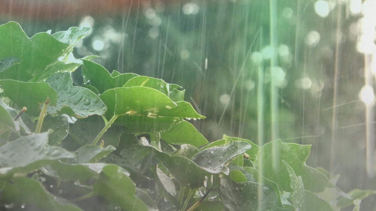 Slow moving cinematic footage set to relaxing Ambient music