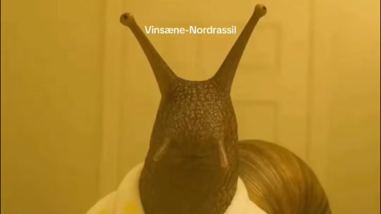 vinsane.