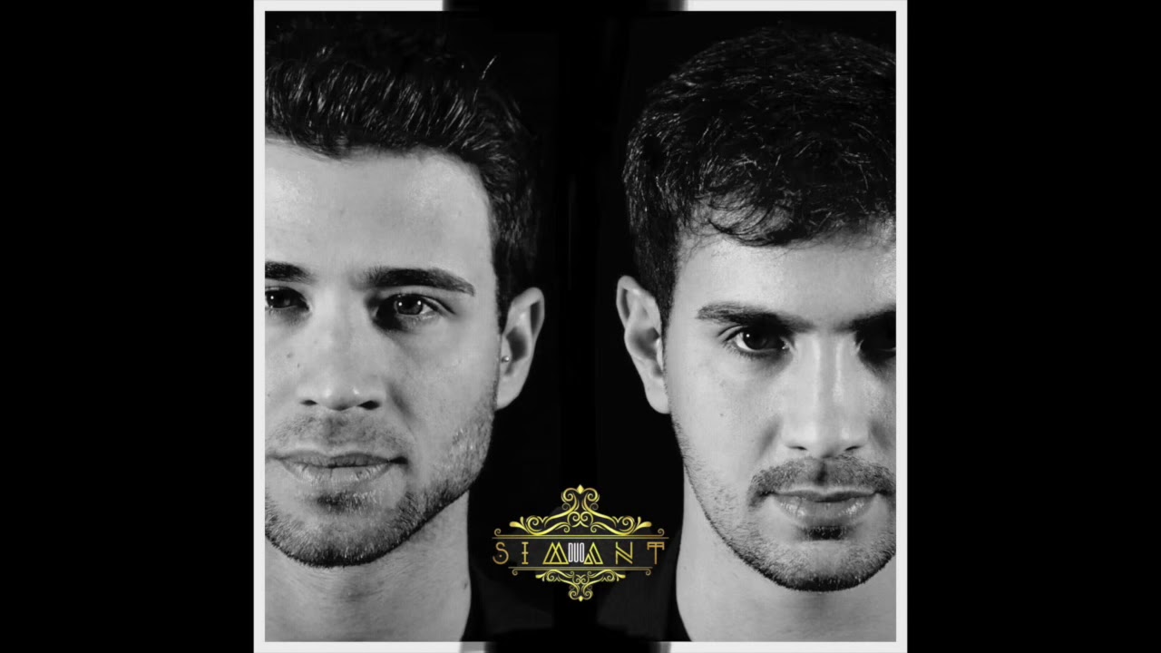 F. Schubert - Serenade | SIMANT DUO