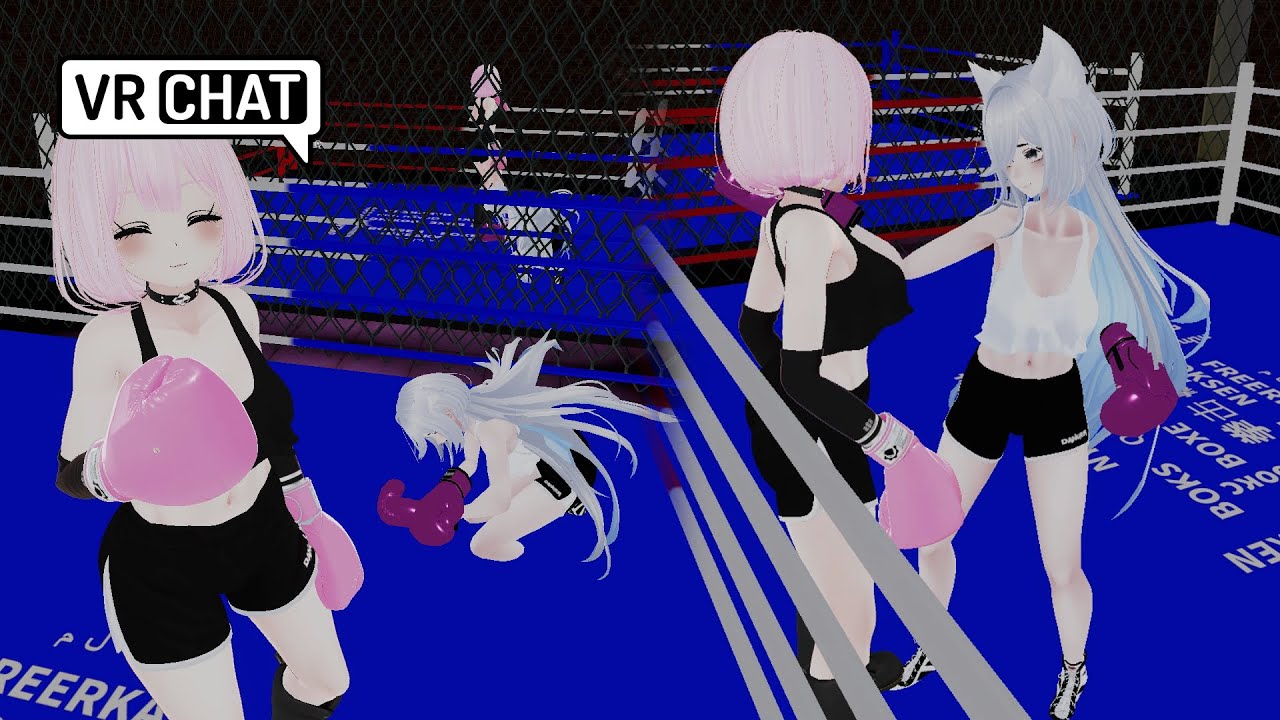Ha nekoko cute knock down VRchat BOXING