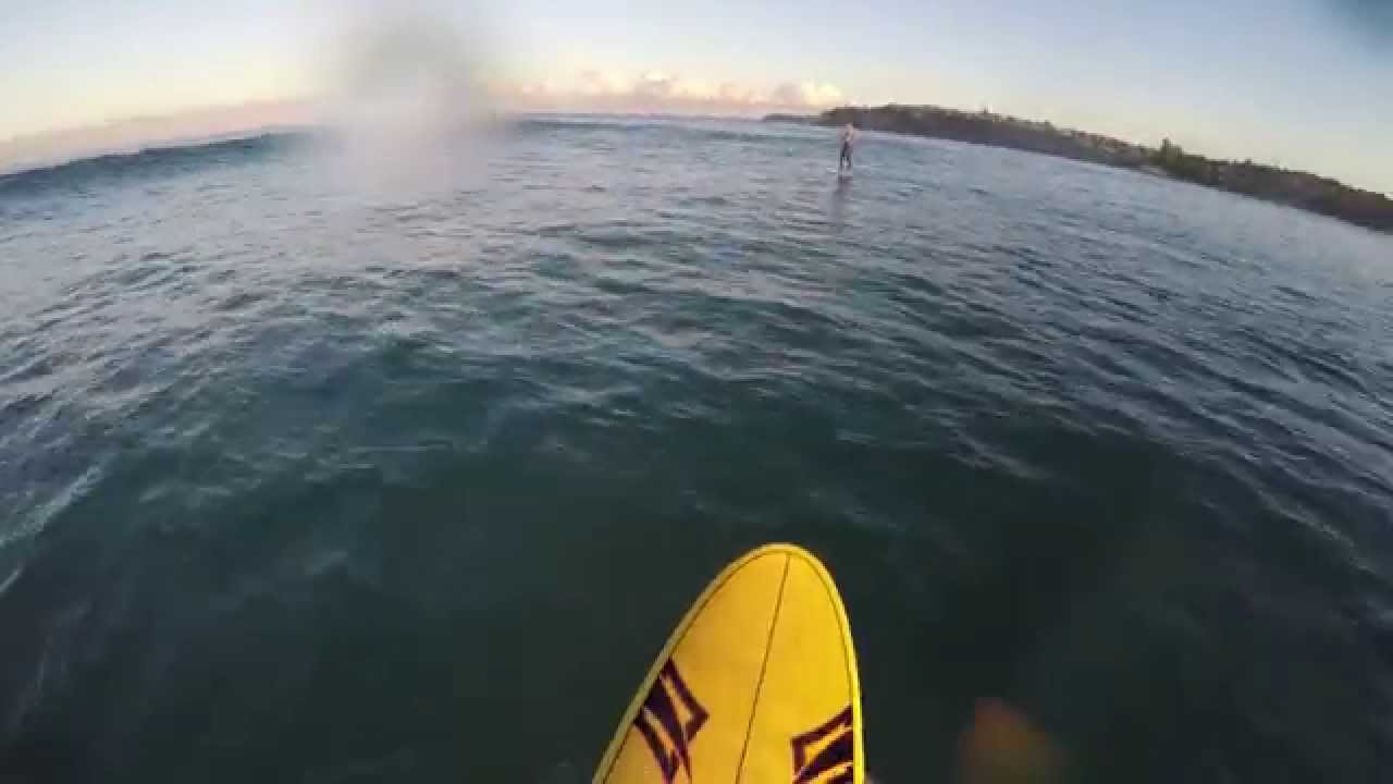Naish Nalu 10' SUP