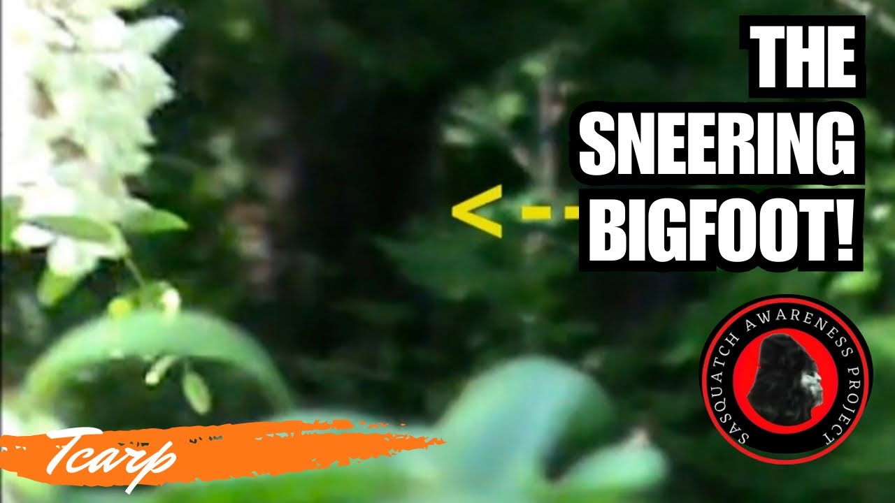 The Sneering Bigfoot | Scott Carpenter Footage 