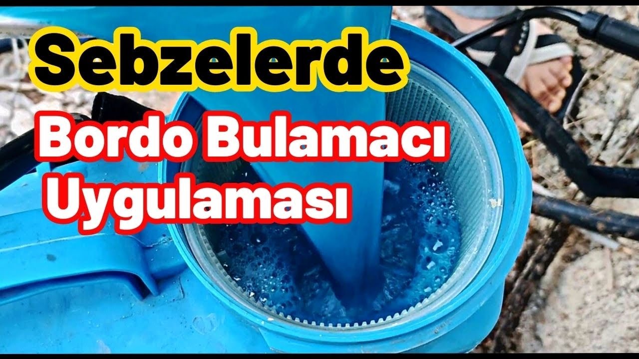 Sebzelerdeki hastalıkları bu uygulama ile durdurduk - Bordo bulamacı uygulaması