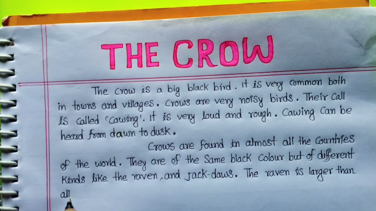 Essay Writing On Crow in English | 10 Lines writing on Crow | The crow Bird