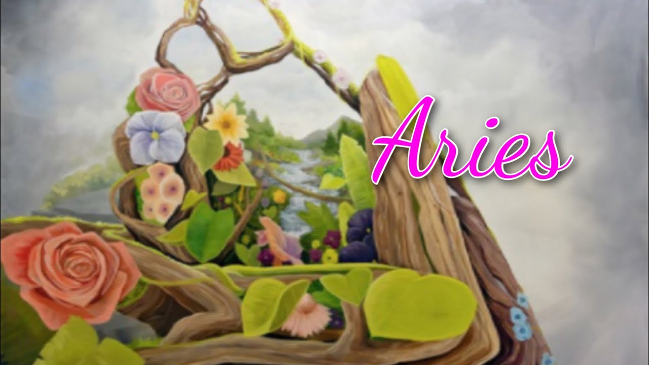 ARIES 