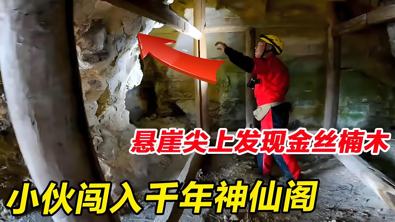 胆大小伙进入千年神仙阁！竟在内部发现金丝楠木，行走在悬崖刀尖上太刺激了！【户外小北哥】
