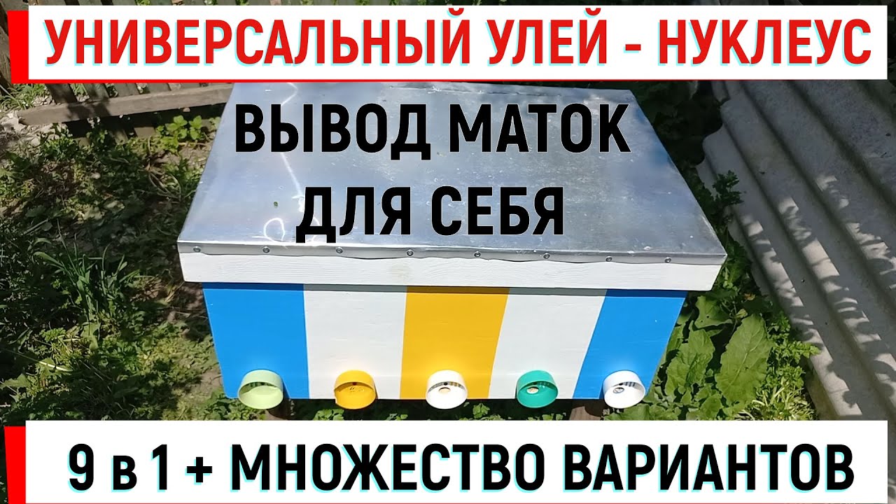 Универсальный УЛЕЙ - НУКЛЕУС. 9 в 1. Вывод маток и зимовка запасных...