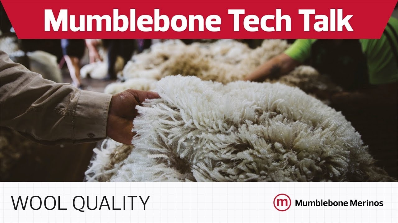 Mumblebone TECH TALK - Wool Quality