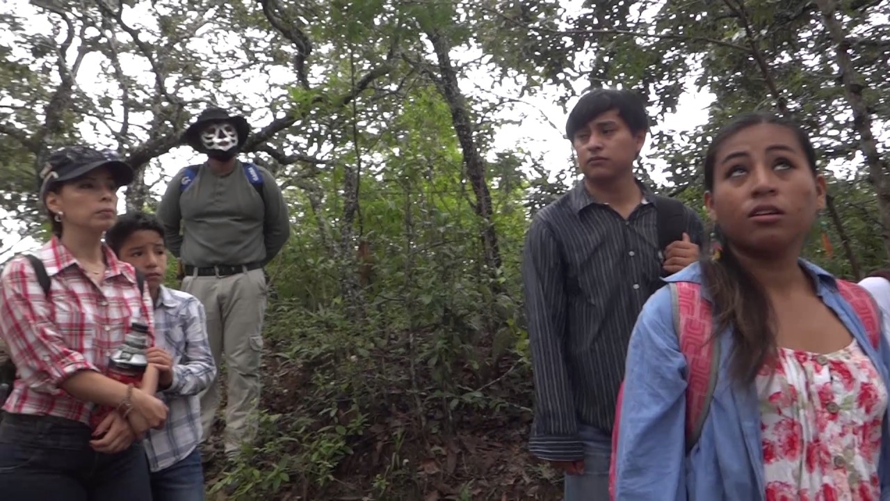 Una Caminata en el Cerro Mactumatzá, Tuxtla Gutiérrez, Chiapas