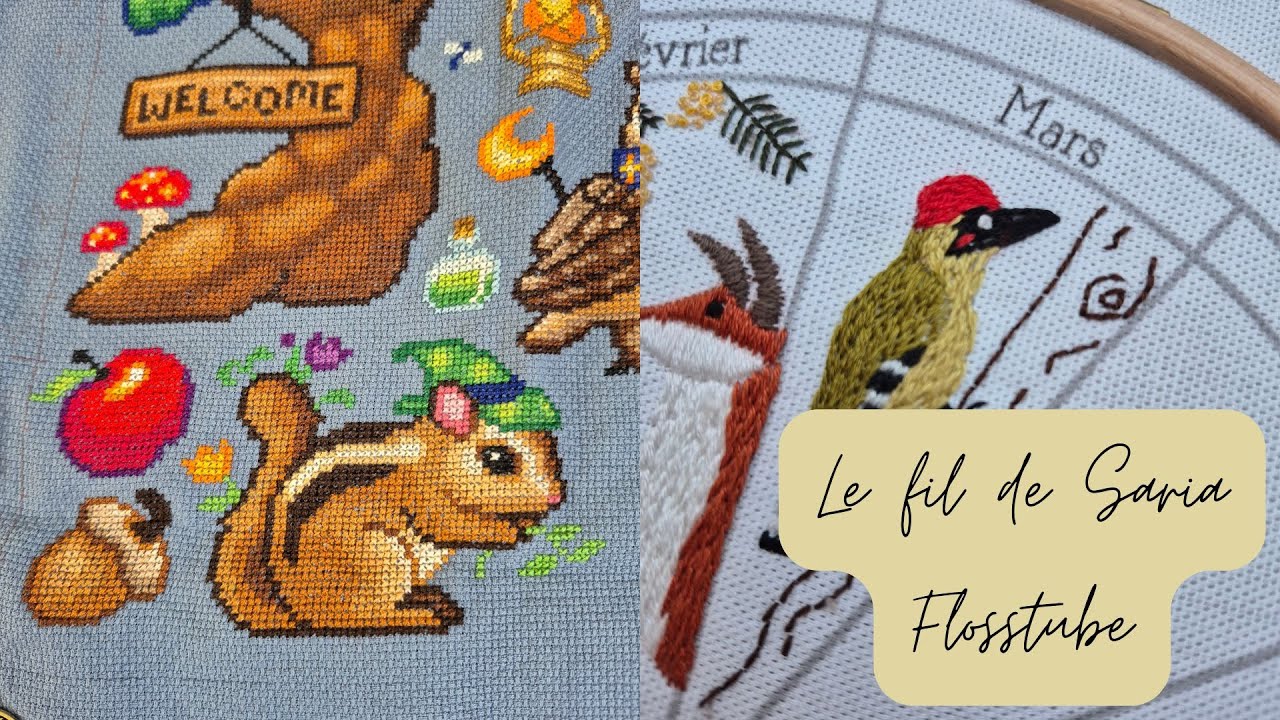 Flosstube - Un écureuil,  un pic vert... et une baleine ?