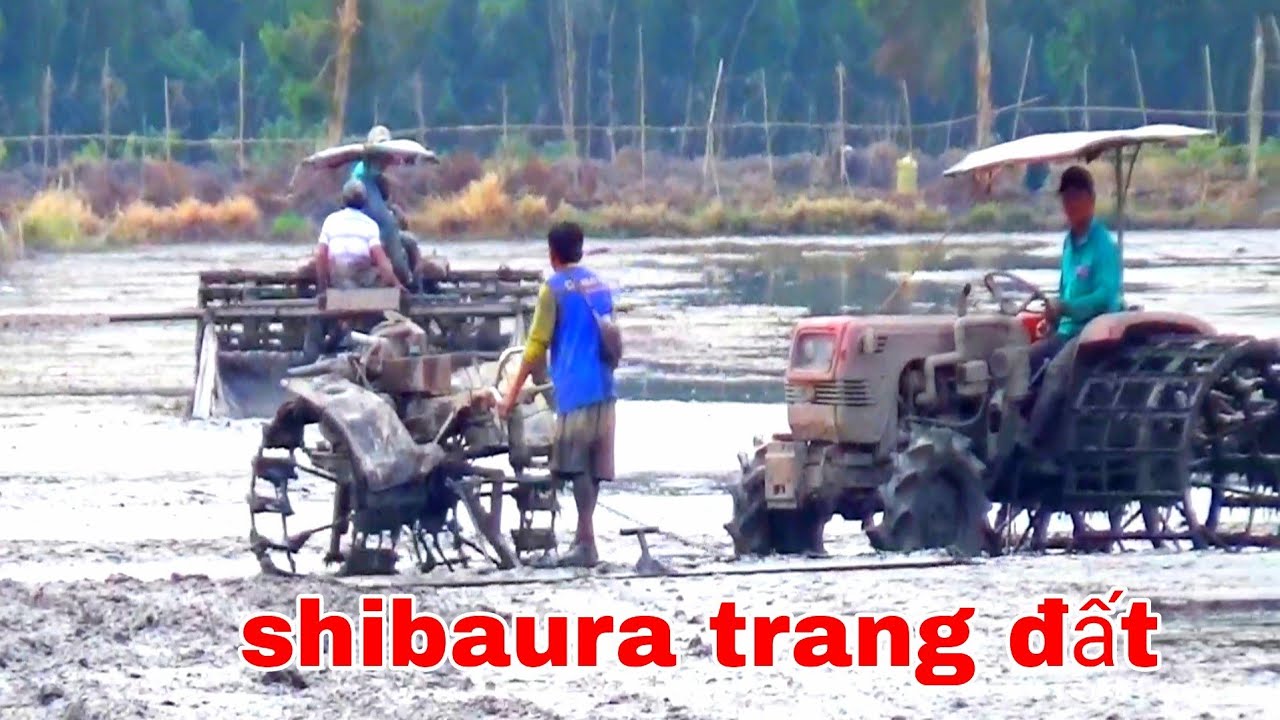 MÁY CÀY SHIBAURA CẢI TIẾN TRANG ĐẤT VỤ ĐÔNG XUÂN