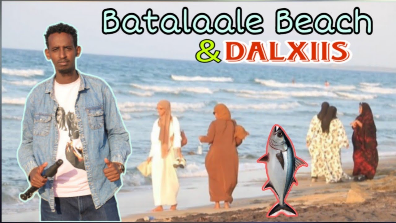 Waxan Booqday Batalaale Beach In Berbera | Dhalinyaro Aan Waligood Kalluun Arag.