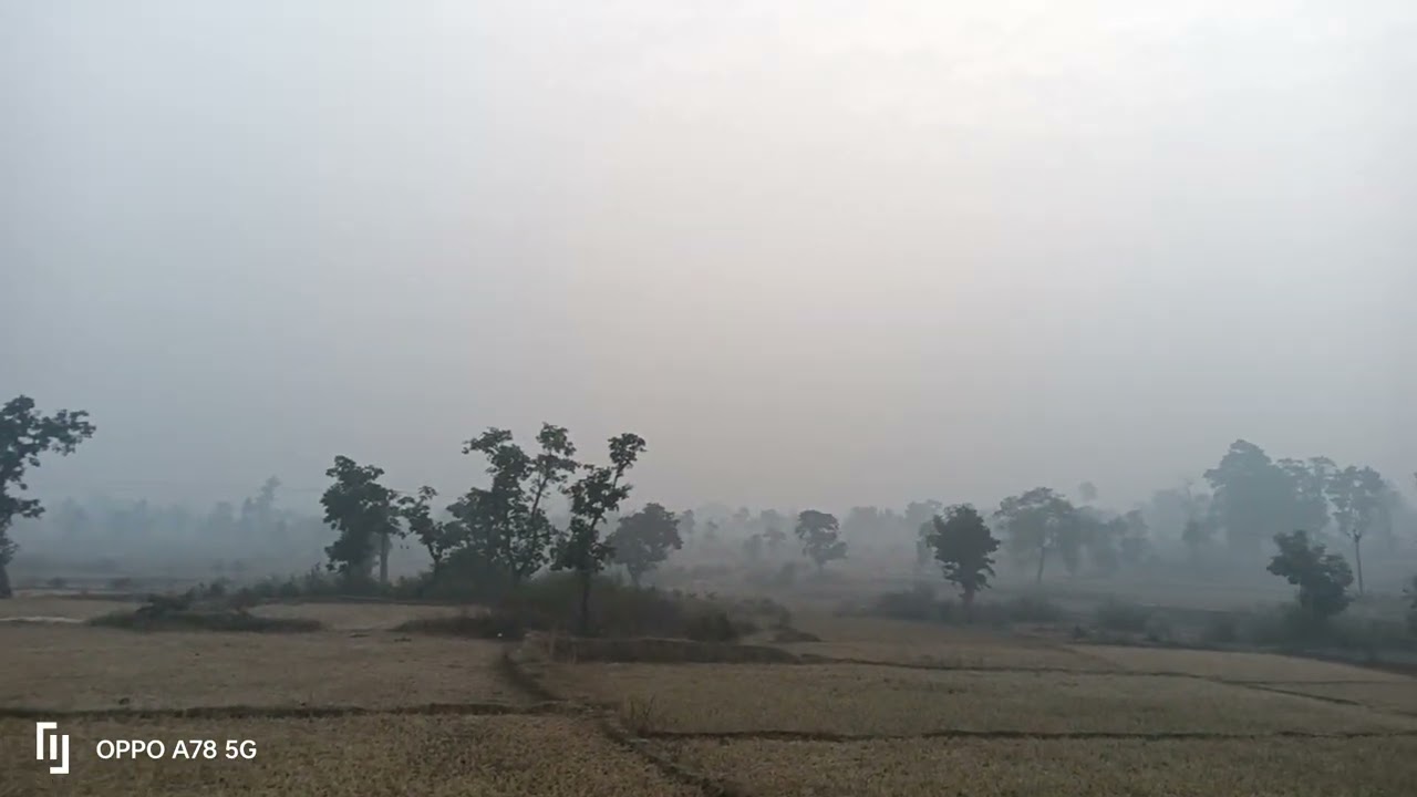 kuhas