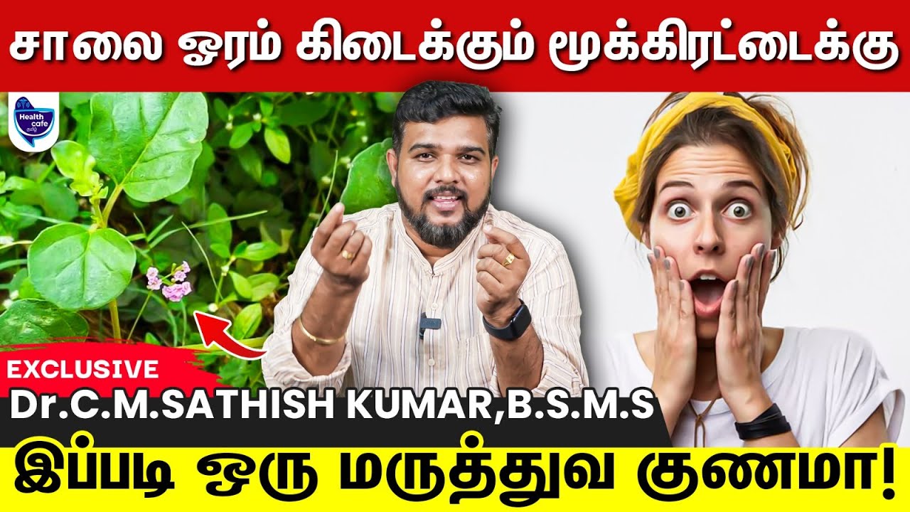 அத்தனை கிட்னி பிரச்சனையையும் தவிடு பொடியாக்கும் மூக்கிரட்டை கீரை !
