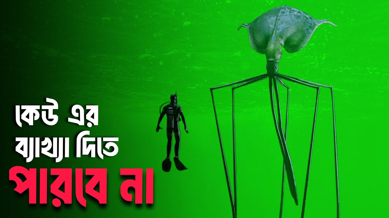 গভীর সমুদ্রের প্রাণীরা দেখতে অদ্ভুত আর ভয়ঙ্কর হয় কেন? Ocean Underwater Mystery!