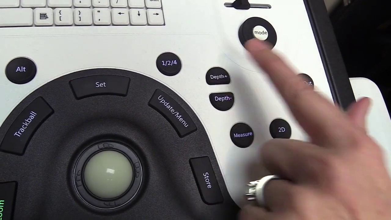 Zoom Feature on Whale Ultrasound System