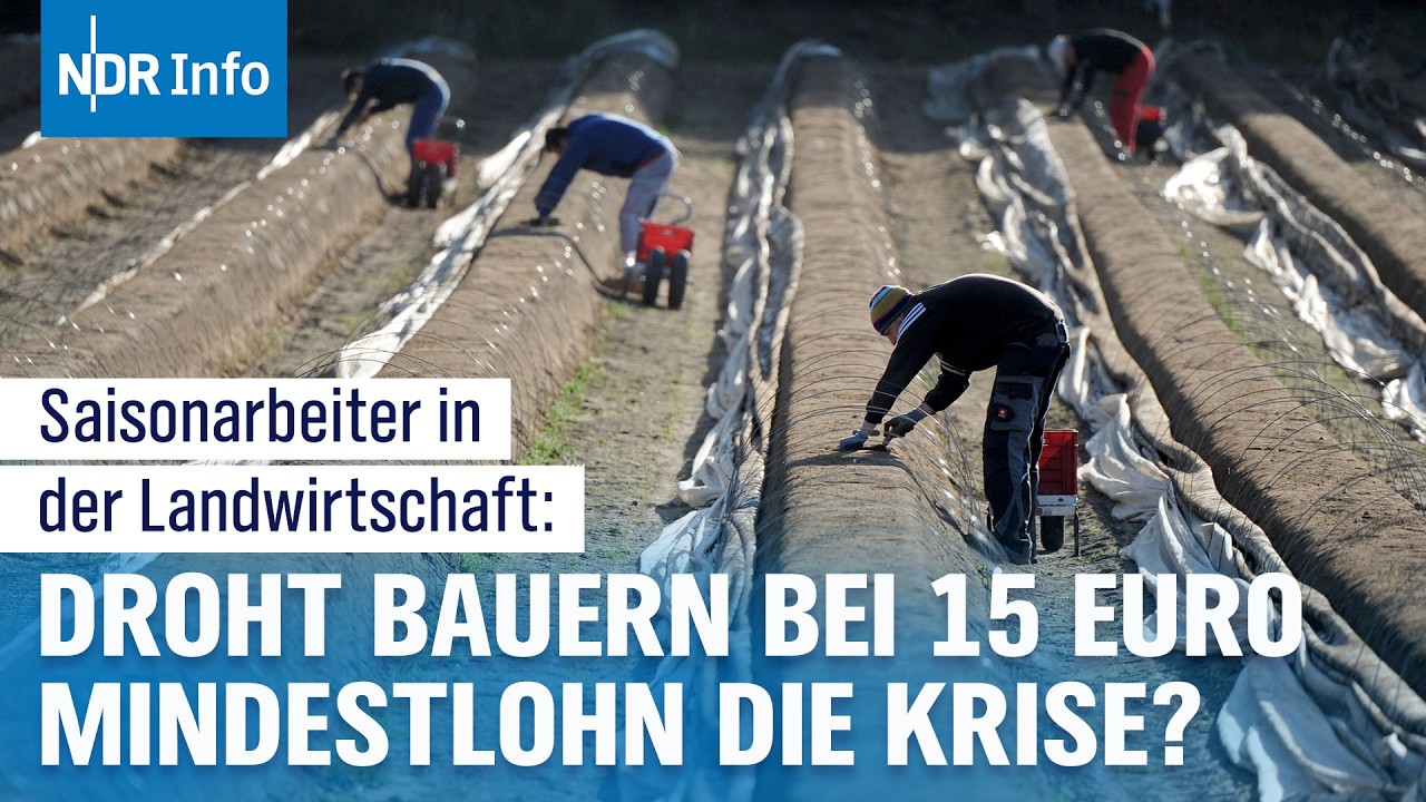 Streit um Mindestlohn in der Landwirtschaft: Ausnahmen f&uuml;r Saisonkr&auml;fte? | NDR Info