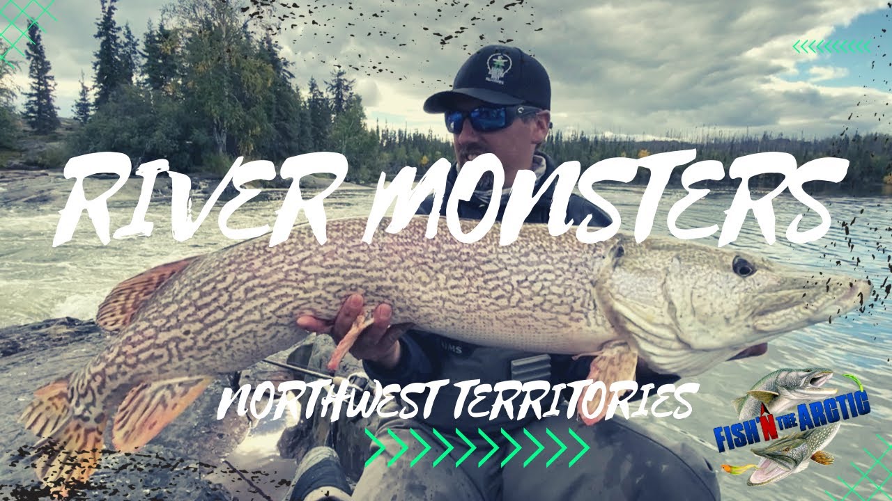 Монстр для береговой рыбалки на северной щуке / #spectacularnwt