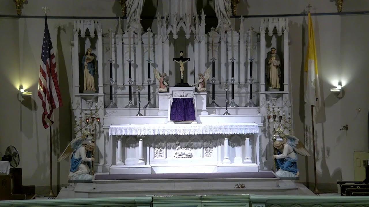 Holy Mass 2/20/26 - Ferial Day