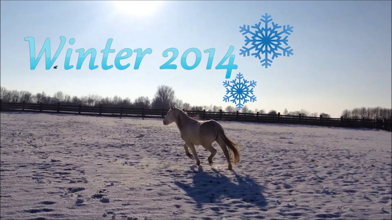 ❄️ Shadow im Winter 2014 🌨