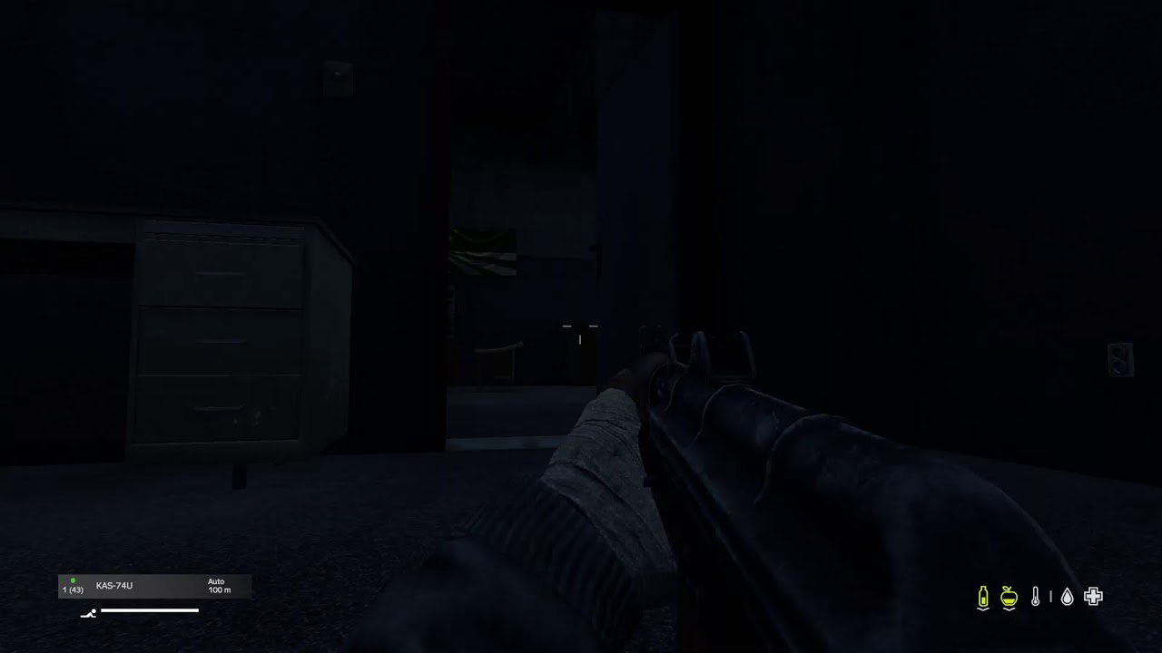 Live dayz survie