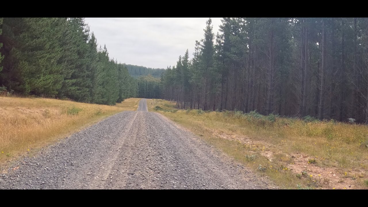 MTB Riding | Ep.1 Pine Forest