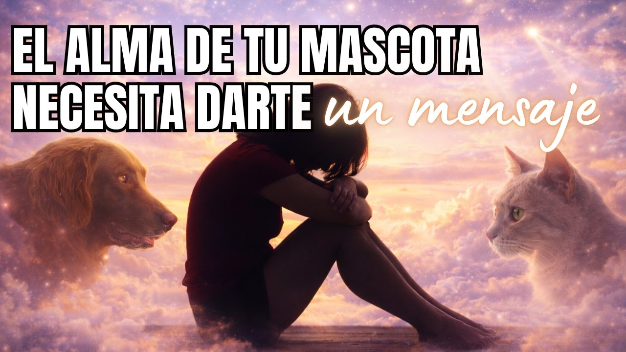 ✝️ || TU MASCOTA QUE YA NO ESTÁ TIENE UN MENSAJE PARA TI || ✝️ Lectura Interactiva