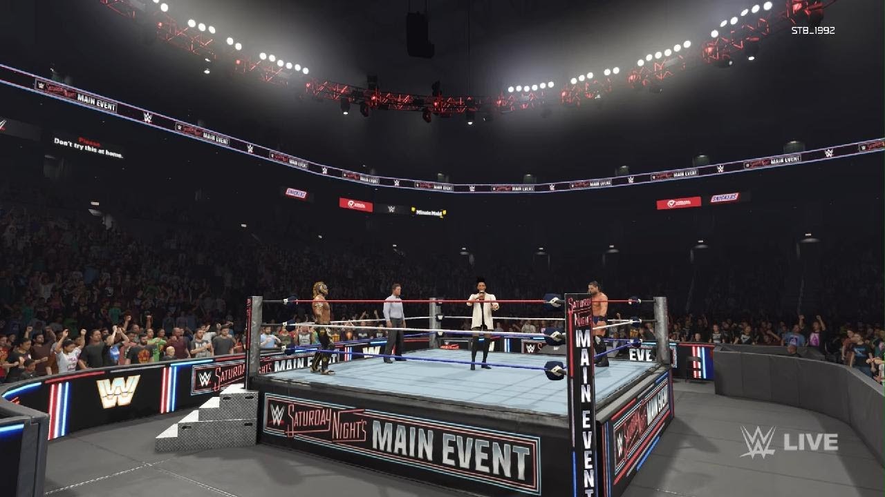 1WF International Title Match