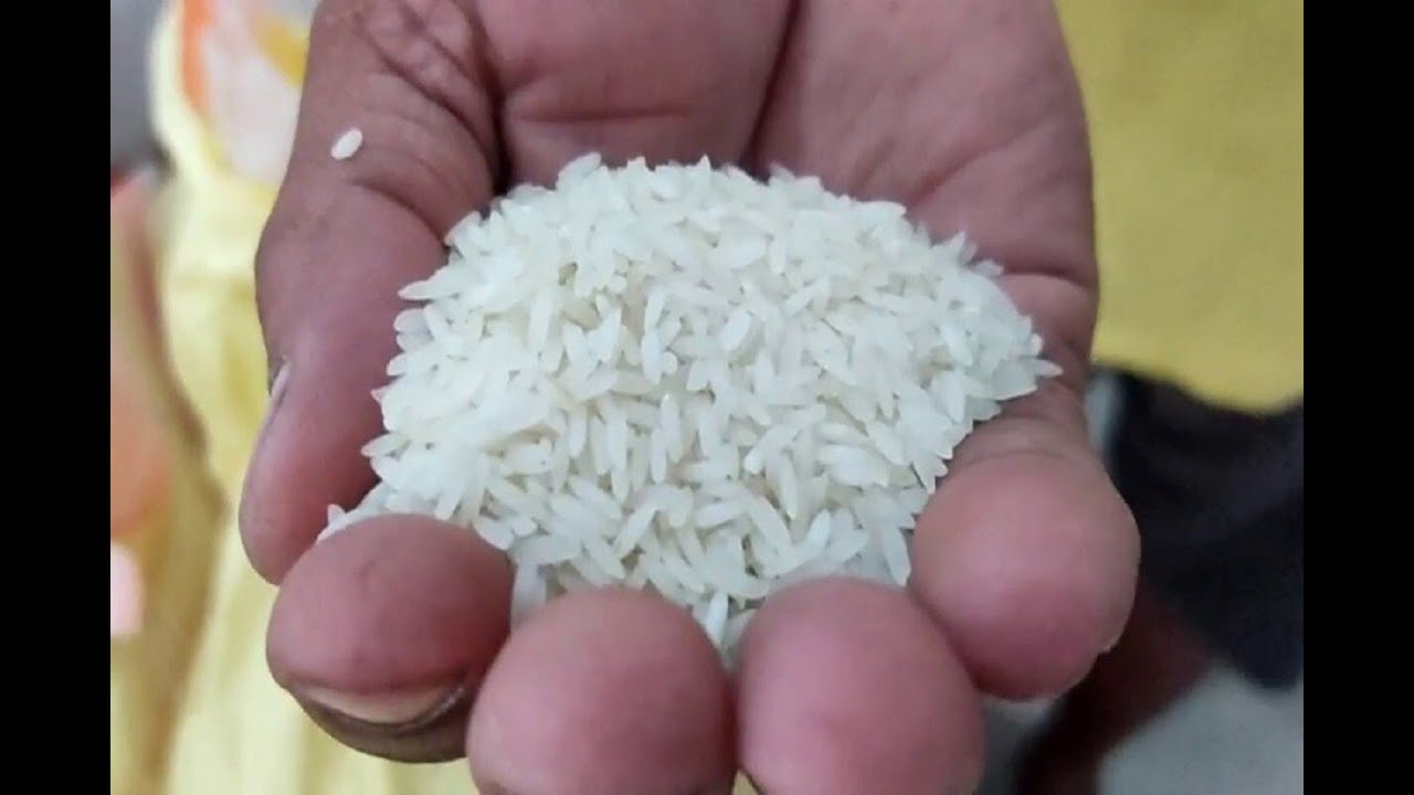Tulaipanji Rice: বাজারে ১২০-১৩০ টাকা দর হলেও এখানে গেলে খাঁটি তুলাইপাঞ্জি চাল পাবেন কেজি প্রতি মাত্র