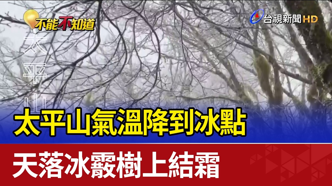 太平山氣溫降到冰點 天落冰霰樹上結霜