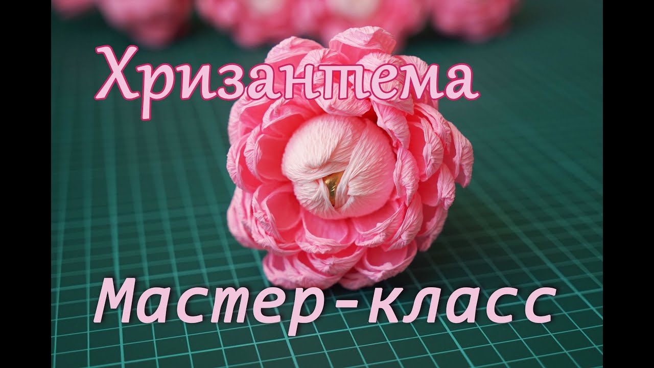 Хризантема из гофрированной бумаги с конфетой. Мастер-класс