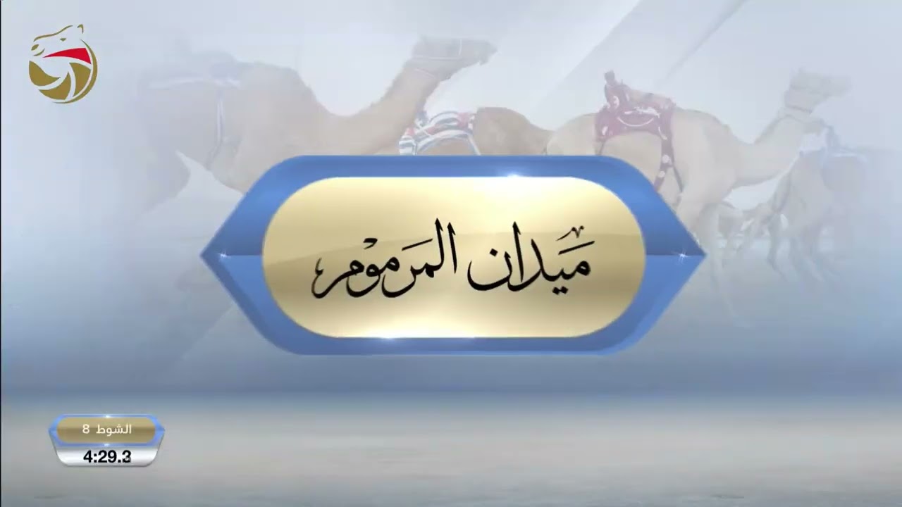 حقاقة للقبائل - المرموم 01-03-2026 ش8 السنافي لـ سلطان سعود نواف السعيد  5:50:9
