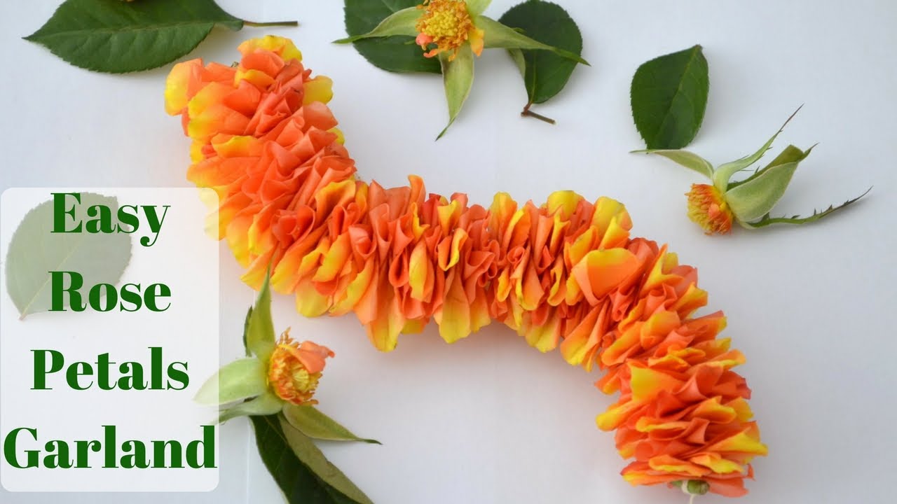 How to make rose petals garland || Easy method flower garland || Rainbow Rangoli