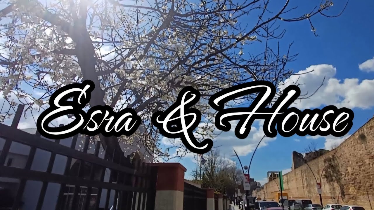 لحمة بالفخار محشي جبنة 🧀 كيكة تريليتشا  هشة ولذيذة ✨️🌙