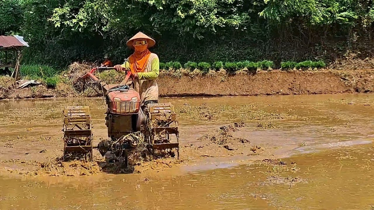 TRAKTOR SAWAH JOKI KECIL TIDAK KENAL LIBUR