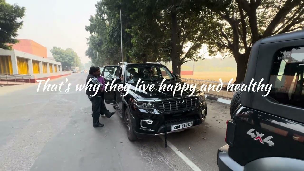 Mahindra Thar RWD Diesel after 2 years. 