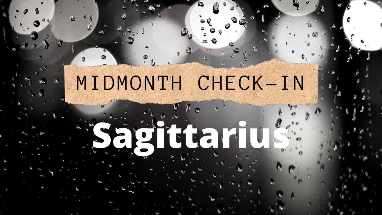 SAGITTARIUS*MIDMONTH CHECK-IN*YOUR LIFE PARTNER