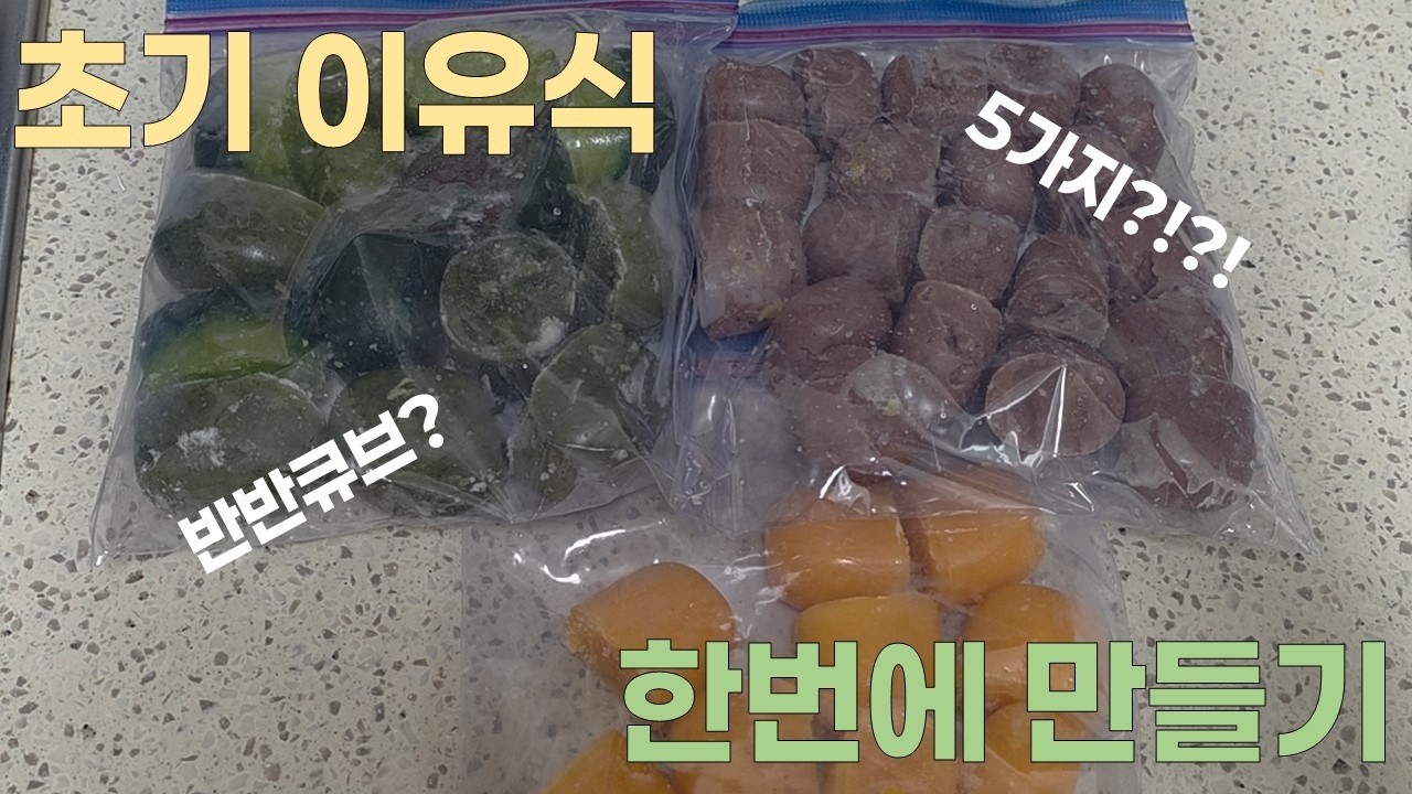 초기 이유식 한번에 5가지 만들기!!